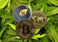 Cryptocurrency-Affected-the-Cannabis