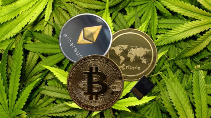 cannabis cryptocurrency stocks